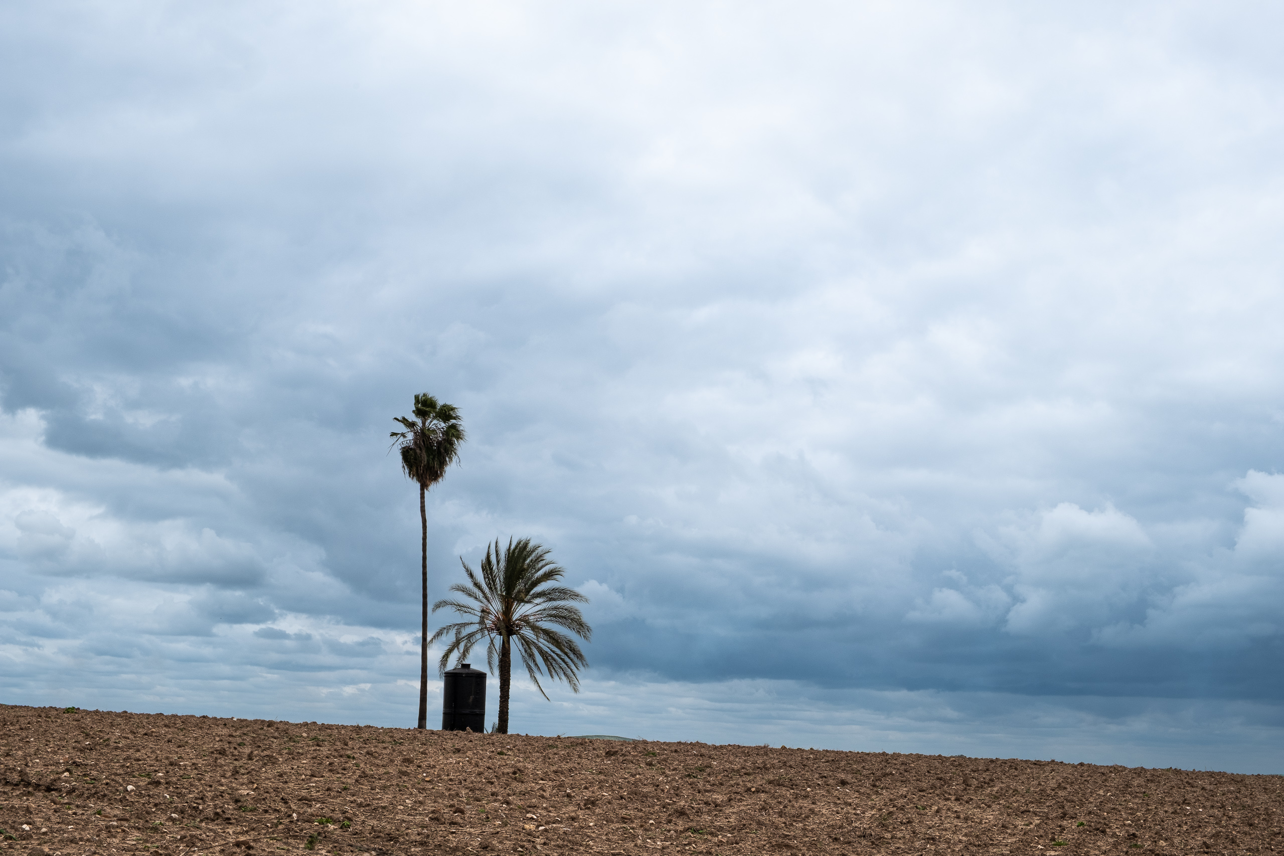Hühnerblut, rote Erde und Nazarenos aus Zucker